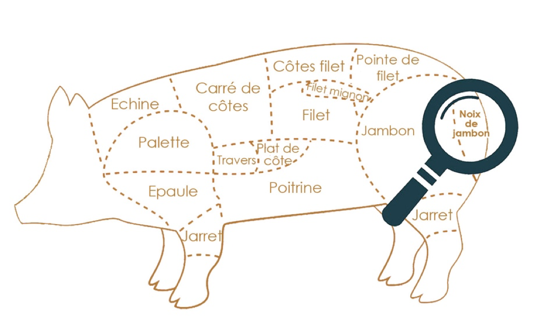 Emplacement noix de jambon